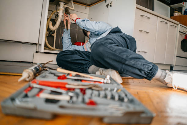 Best Toilet Repair Services  in Fort Washakie, WY